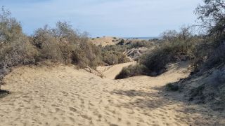 2023-GC--Mapalomas dunas-S123-195.jpg